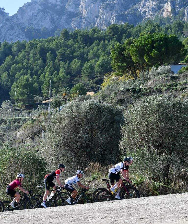 Syklister på fjellvei under kalksteinsfjell og oliventrær på Costa Blanca