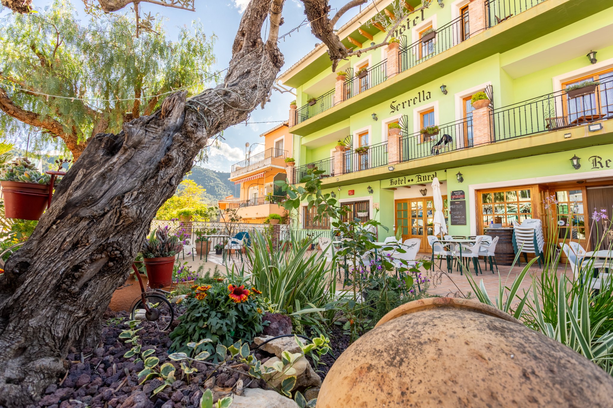 Hotel Serrella i Castell de Castells med grønn fasade, balkonger og hage med oliventre